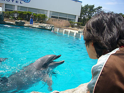 鴨川シーワールド