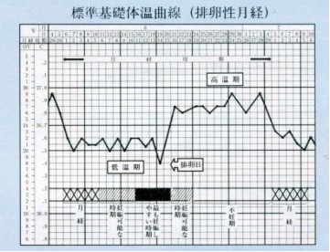 基礎体温曲線