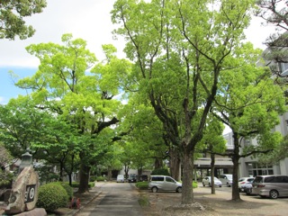 IMG_2835.jpg