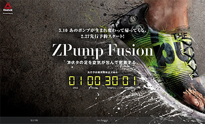 zpump reebok
