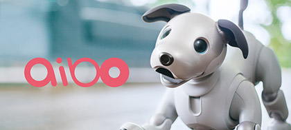 aibo