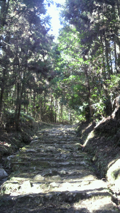 2012021212330000.jpg