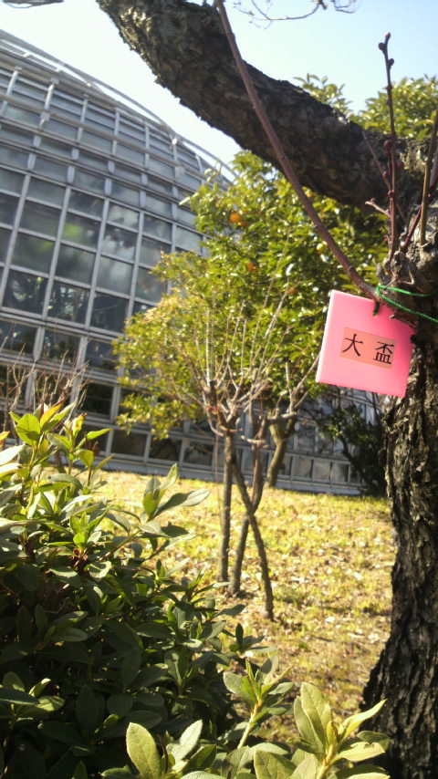 2012021213270000.jpg