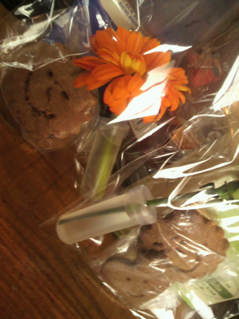 2012030410290000.jpg