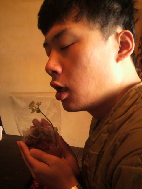 2012030410070000.jpg