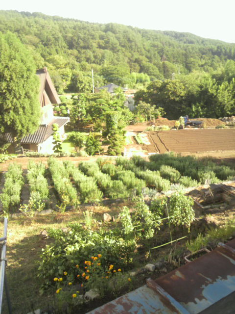 2012091715540001.jpg
