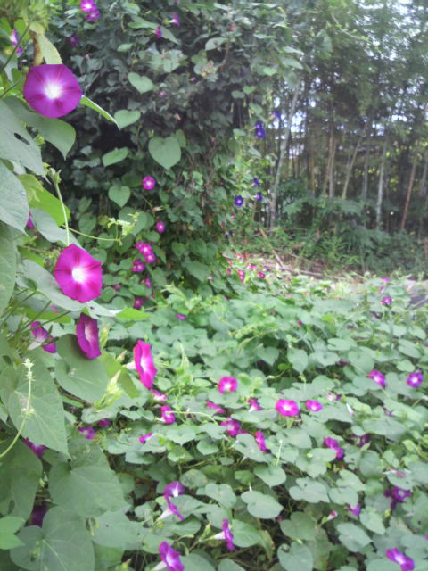 2012091807170000.jpg