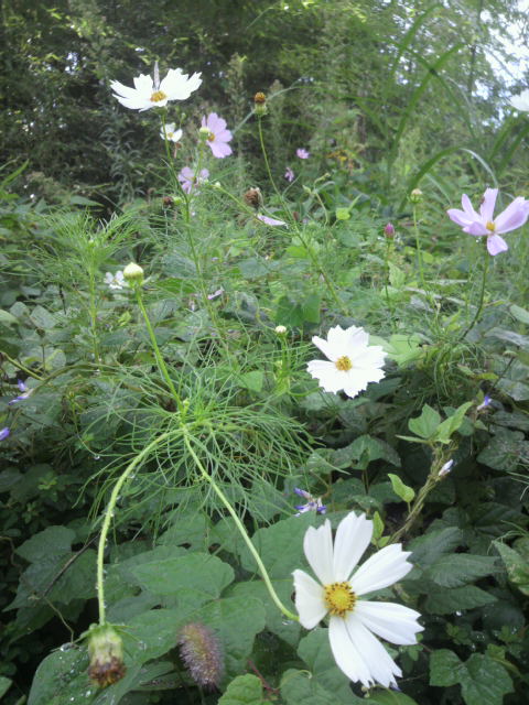 2012091807180000.jpg