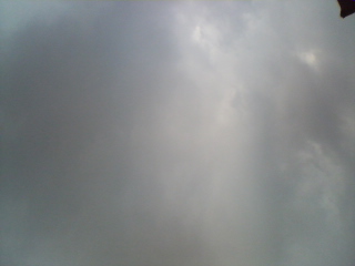 20070425_124775.jpg