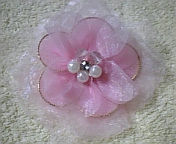 20060827_212461.jpg
