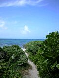 090805_1426~0001-0001.jpg