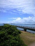 090804_1101~0001-0001.jpg