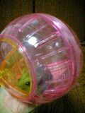 091007_1826~0001-0001.jpg