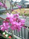 100410_0921~0001-0001.jpg