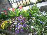 100410_0917~0002-0001-0001.jpg