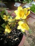 100410_0915~0001-0001.jpg
