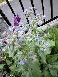 100506_1024~0002-0001.jpg
