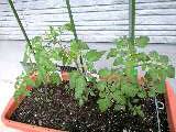 100506_1026~0001-0001-0001.jpg