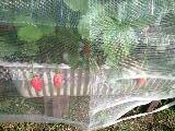 100521_0749~0002-0001-0001.jpg