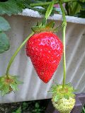 100522_1644~0001-0001.jpg