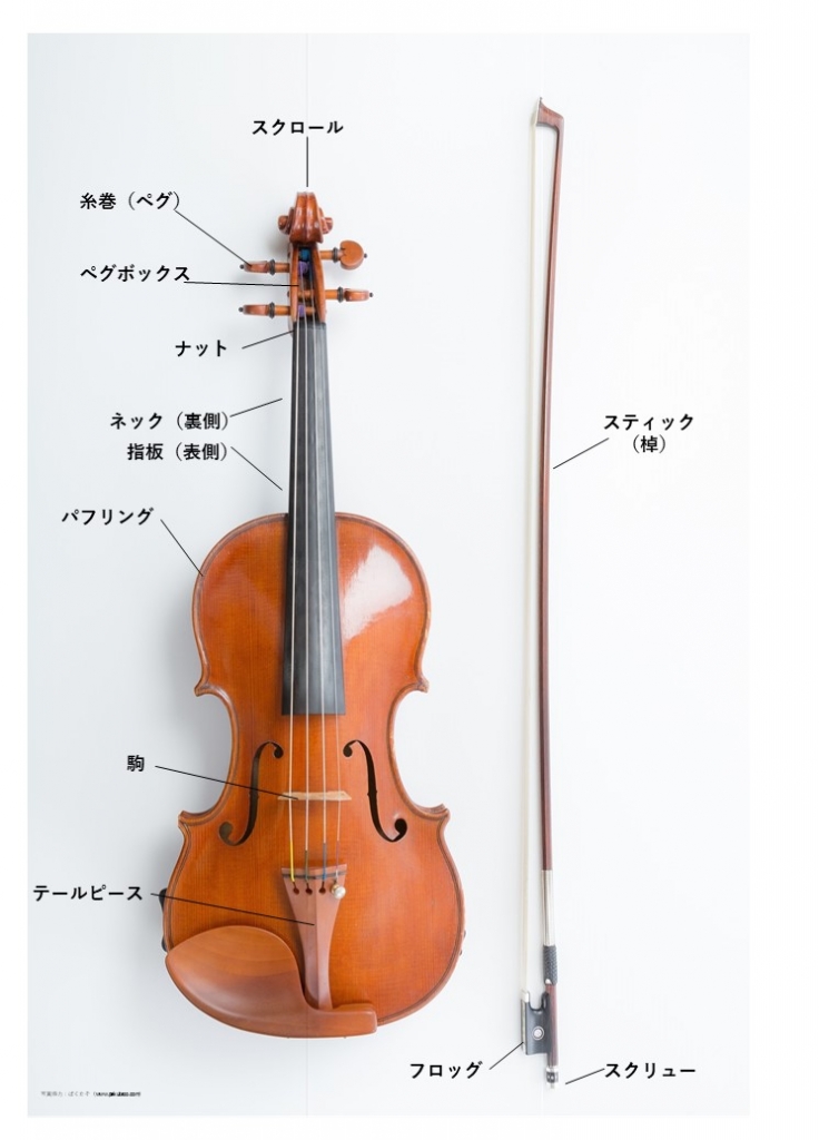 良い音を追求するために！（弦楽器編） | YOKOHAMAグリーン 