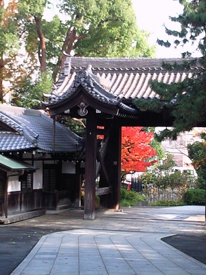 真っ赤な紅葉 真っ赤な紅葉