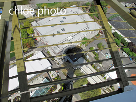 IMG_5452.jpg