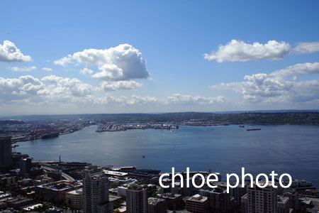 P1012036.jpg