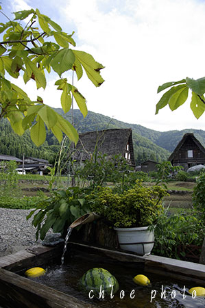 _IGP8418.jpg