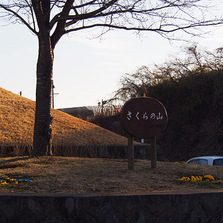 P2050061.jpg