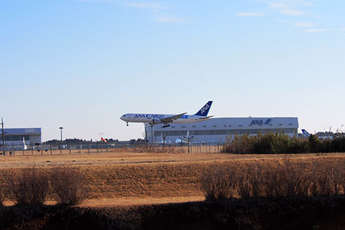 P2050160-1.jpg