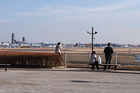 P2050853.jpg