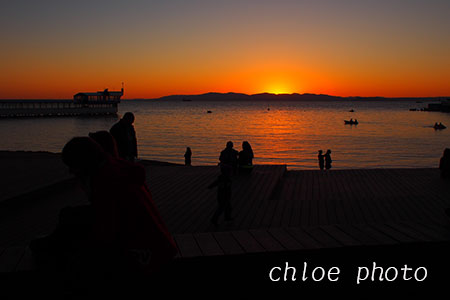 P9220215.jpg