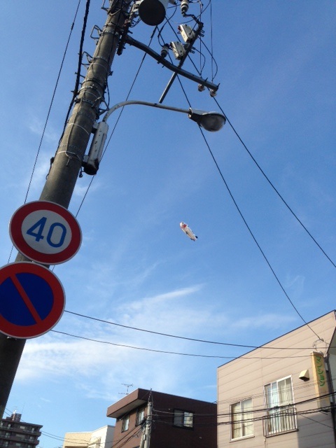 如月家のお盆 オンナジヤオンナジヤオモテー 編 俺はタクランケ 歯学博士の日常