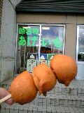 080810_1436~0001-0001.jpg