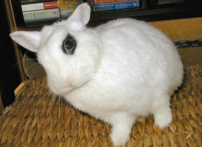 アラよっと1