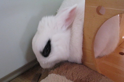 狭い2
