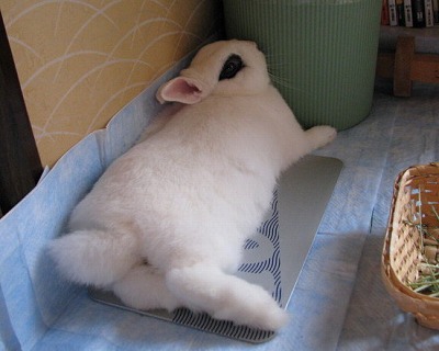 ヘンだけど1−イ