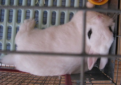 ヘンだけど2−ア