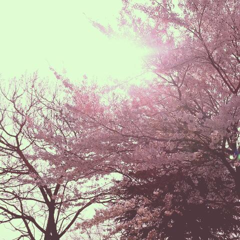 20140419_204258.jpg