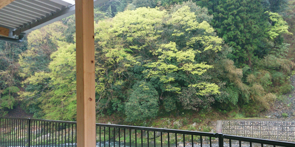 green.jpg