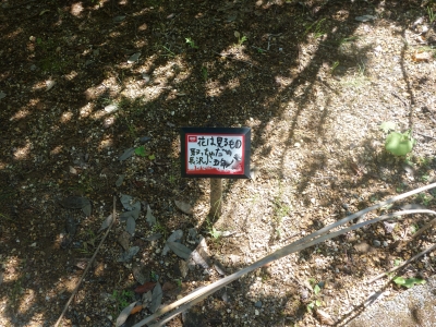 長沢小