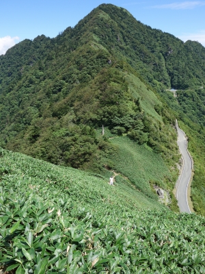 眼下遥か