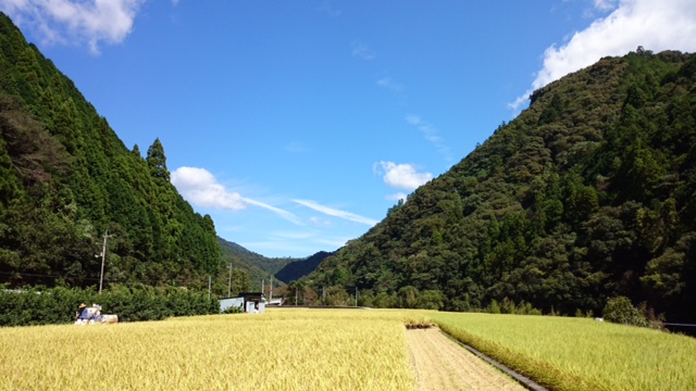 あき風景