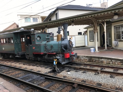 さぎ