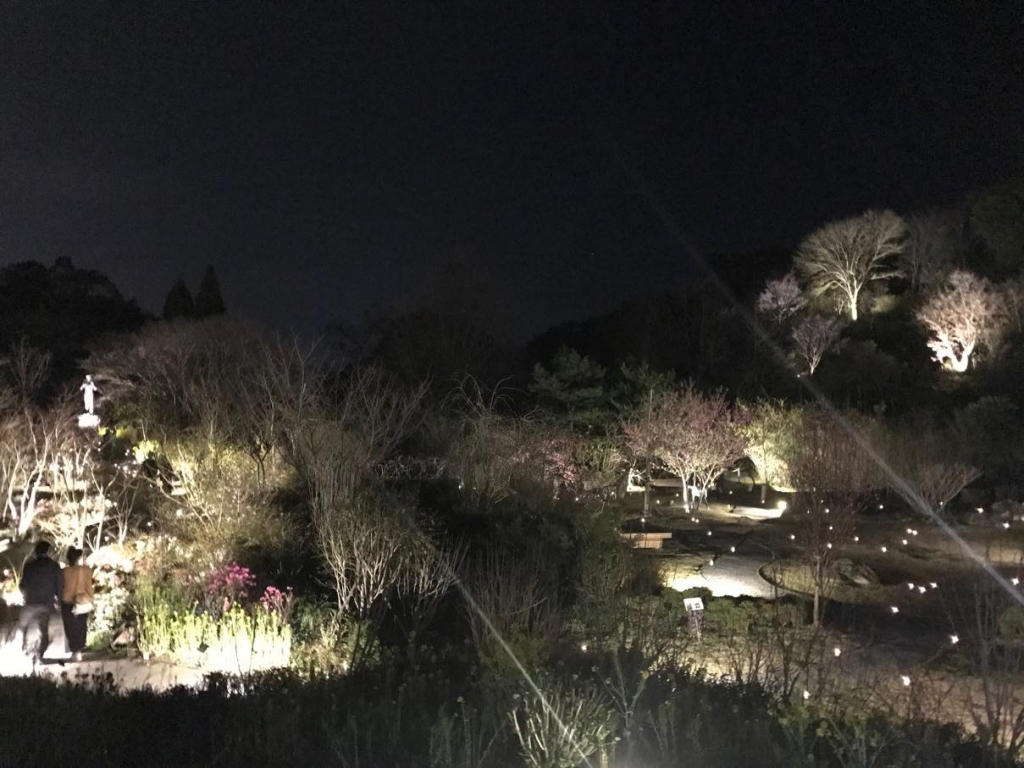 桜の宴