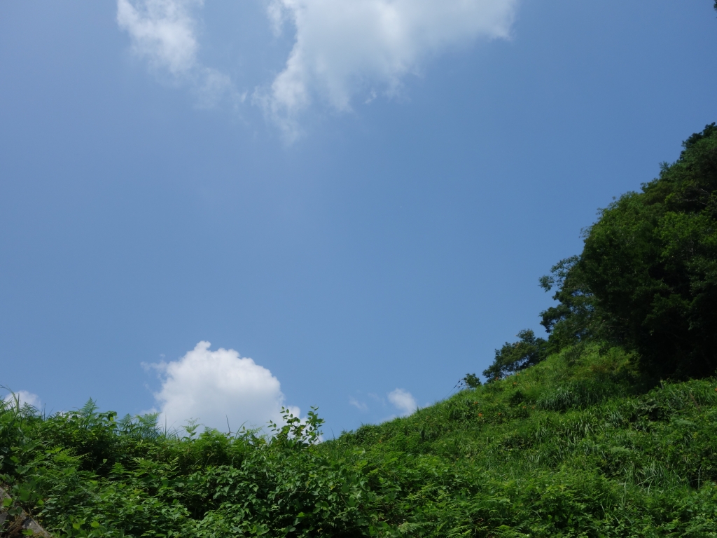 山