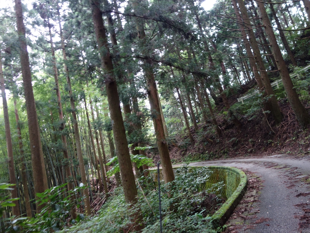 山道