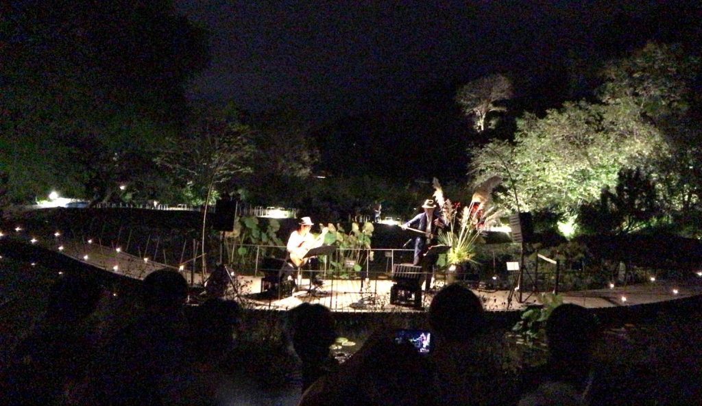 演奏