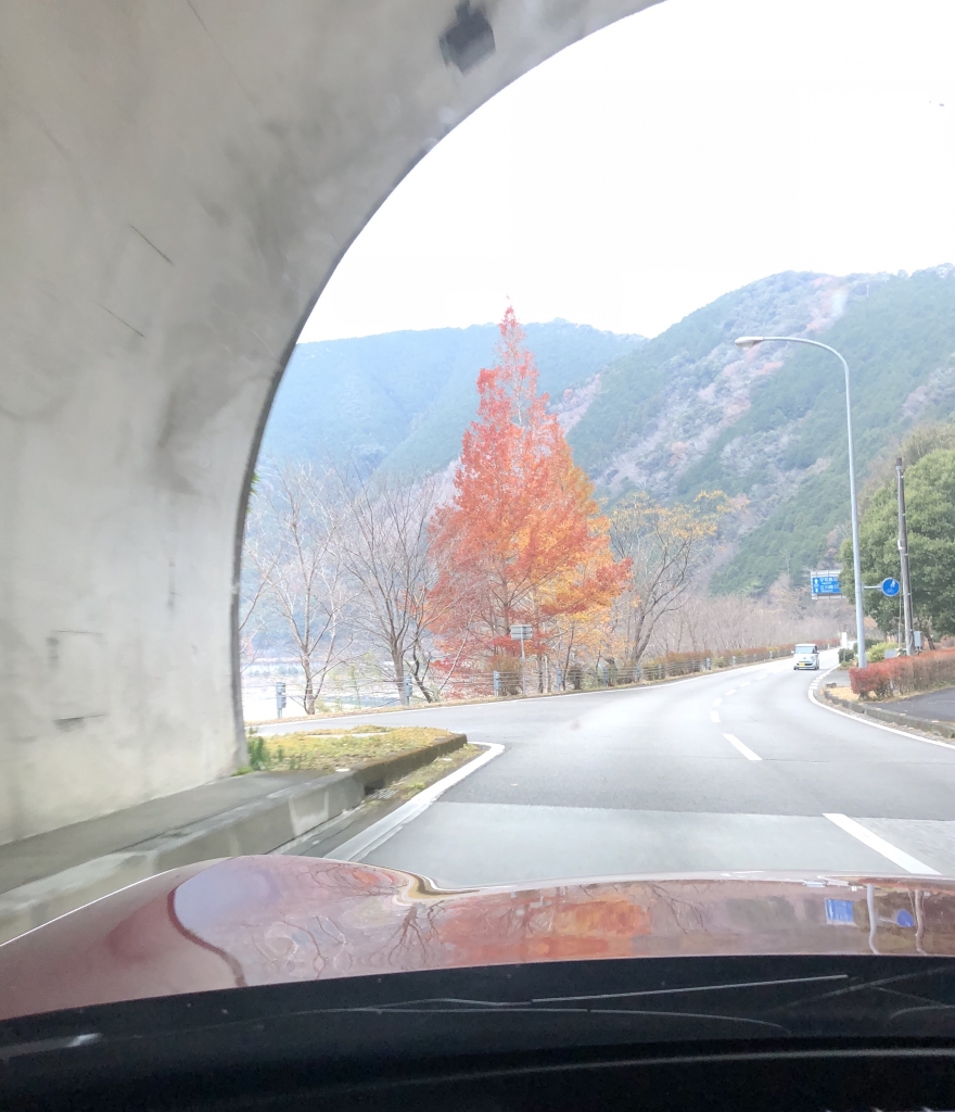 銀杏